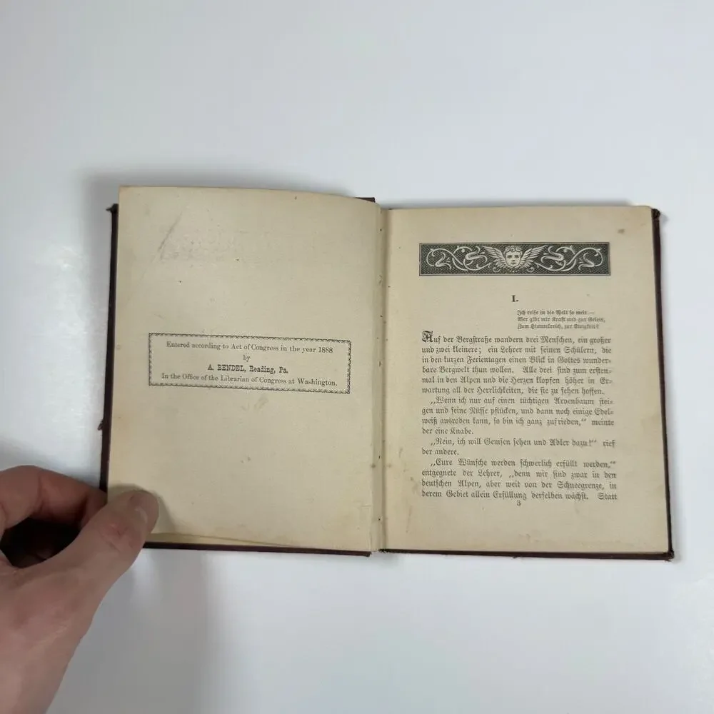 The Mother Story By A Hofmann 1888 Antique book German Language
